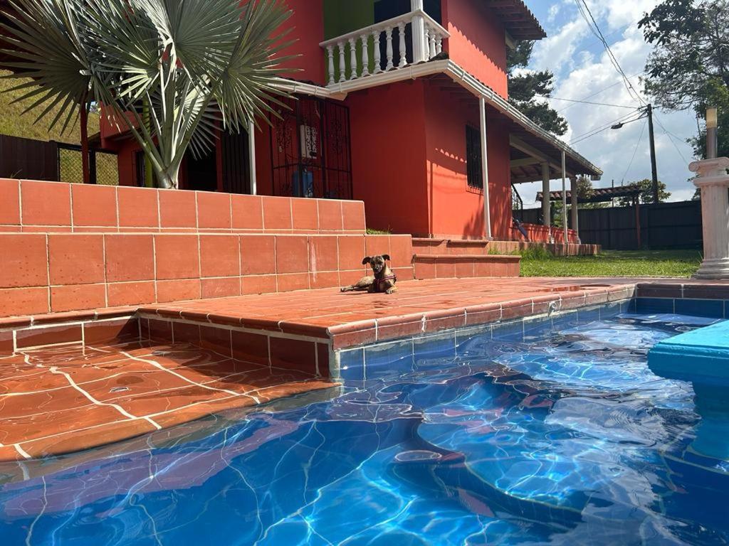 Finca Hotel La Bonita Guatape Bagian luar foto